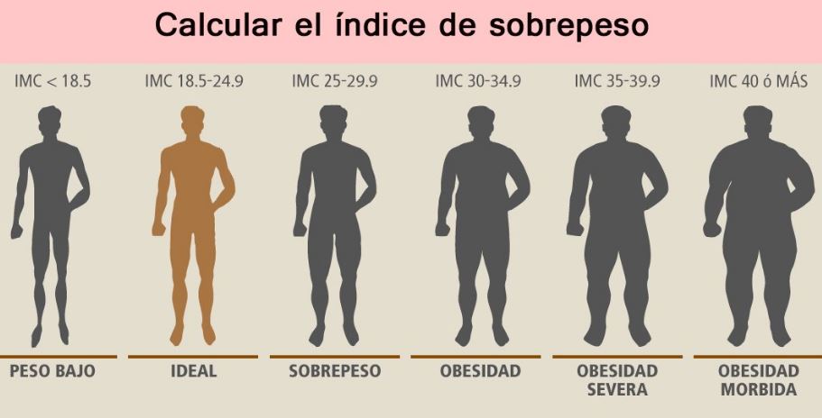 período Contaminado Etna Índice de Masa Corporal (IMC). ¿Sabes cómo calcularlo? - Adios a la báscula